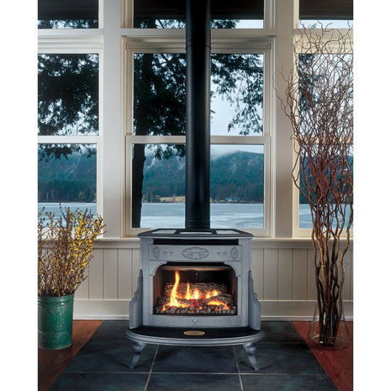 wood burning stove fireplace