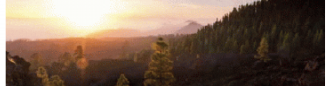 Here Comes The Sun... Here Comes The Sun...