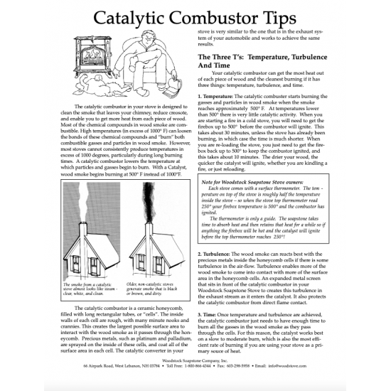 Catalytic Combustor Tips