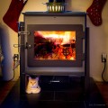 Cat from Dubai Staying Warm in MI