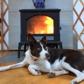 Keystone Wood Stove Sanders Dog Customer Install