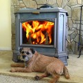 Progress Hybrid Wood Stove- Romano's Dog Customer Install